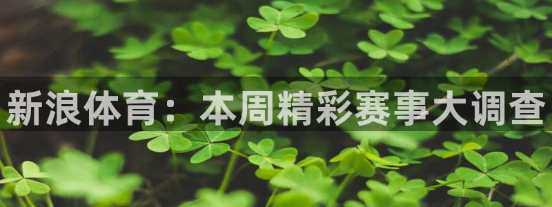 下载斗球体育app：新浪体育：本周精彩赛事大调查