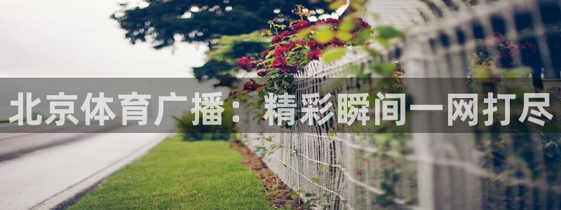 斗球体育直播在线观看电脑版免费：北京体育广播：精彩瞬间一网打尽