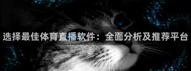 斗球直播(免费)nba：选择最佳体育直播软件：全面分析及推荐平台