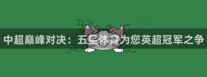 直播斗球：中超巅峰对决：五星体育为您英超冠军之争