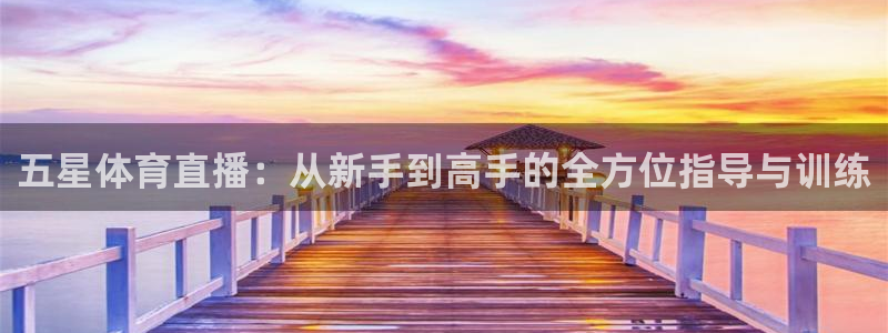 斗球在线直播：五星体育直播：从新手到高手的全方位指导与训练