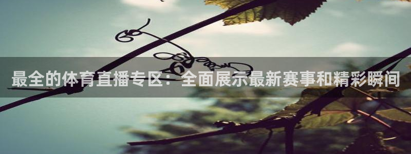 下载斗球直播app：最全的体育直播专区：全面展示最新赛事和精彩瞬间