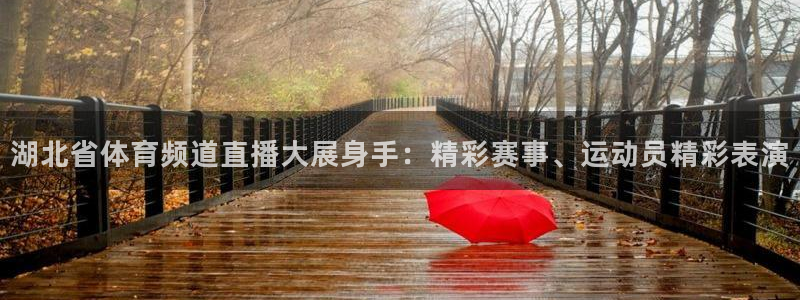 斗球体育nba：湖北省体育频道直播大展身手：精彩赛事、运动员精彩表演
