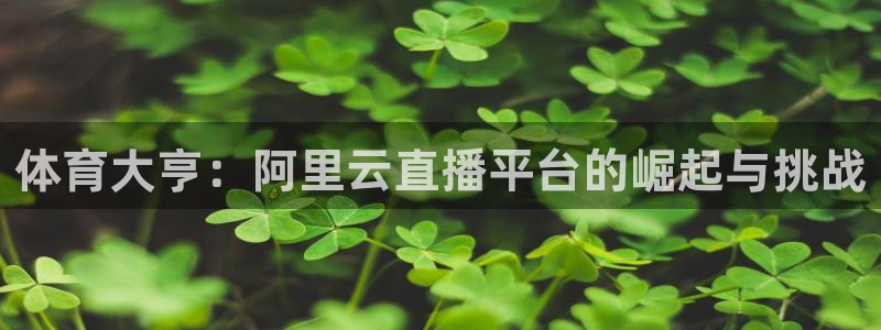dqiuvip斗球直播：体育大亨：阿里云直播平台的崛起与挑战