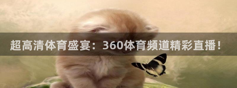 斗球直播在线观看入口：超高清体育盛宴：360体育频道精彩直播！