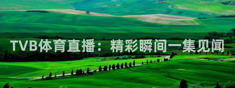 斗球直播极速版：TVB体育直播：精彩瞬间一集见闻