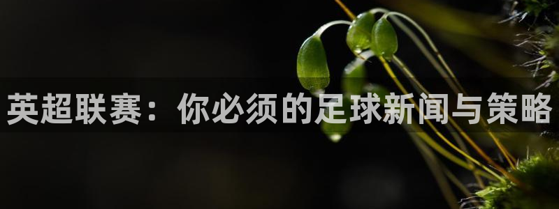 斗球体育app：英超联赛：你必须的足球新闻与策略