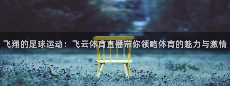 斗球直播全免费观看：飞翔的足球运动：飞云体育直播带你领略体育的魅力与激情